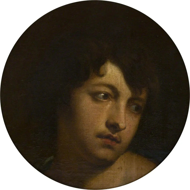 Van Dyck in de rol van Paris - Antoine van Dyck

Source:
Van Dyck dans le rôle de Paris - Antoine van Dyck