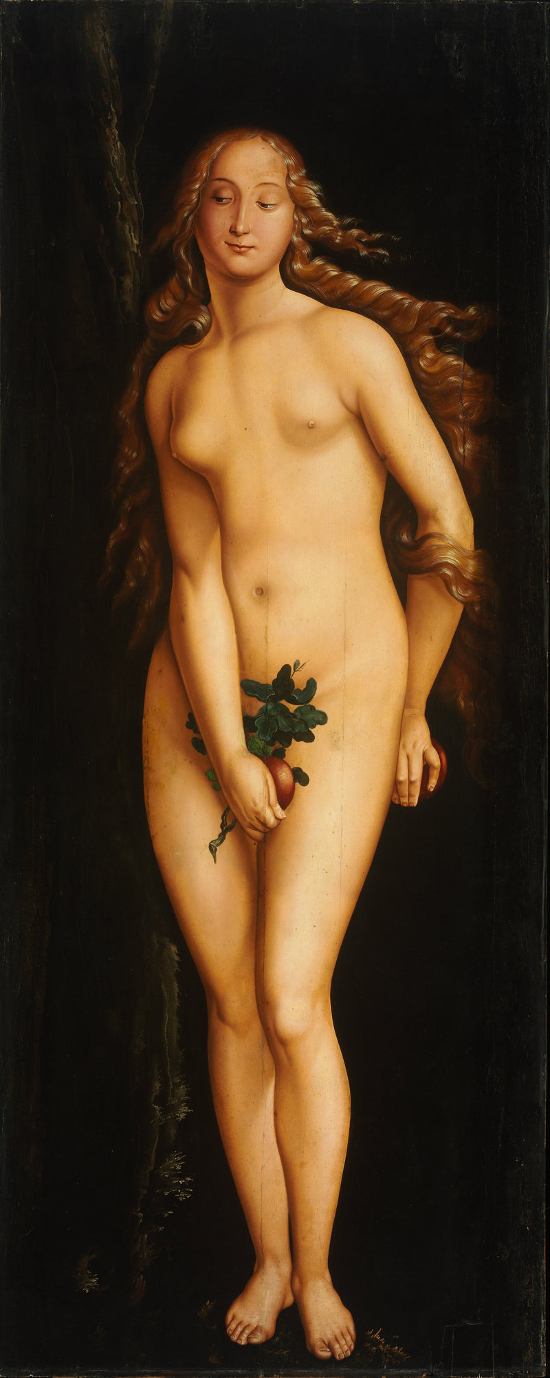 Vooruitblik - Hans Baldung Grien