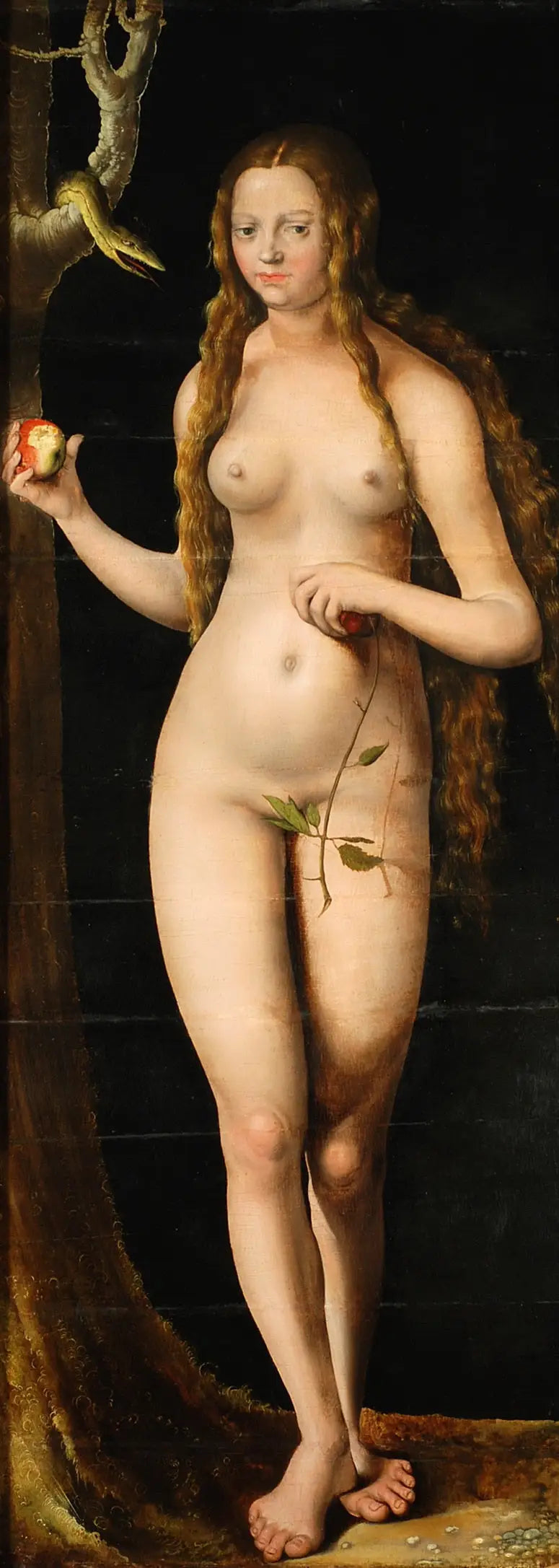 Veille - Lucas Cranach de Oudere