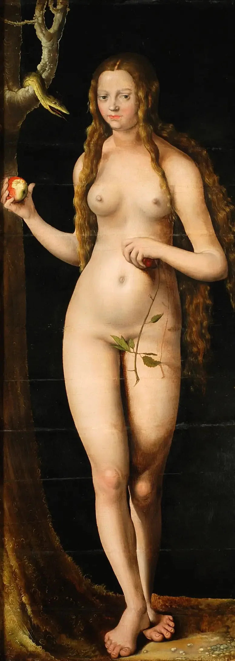 Veille - Lucas Cranach de Oudere