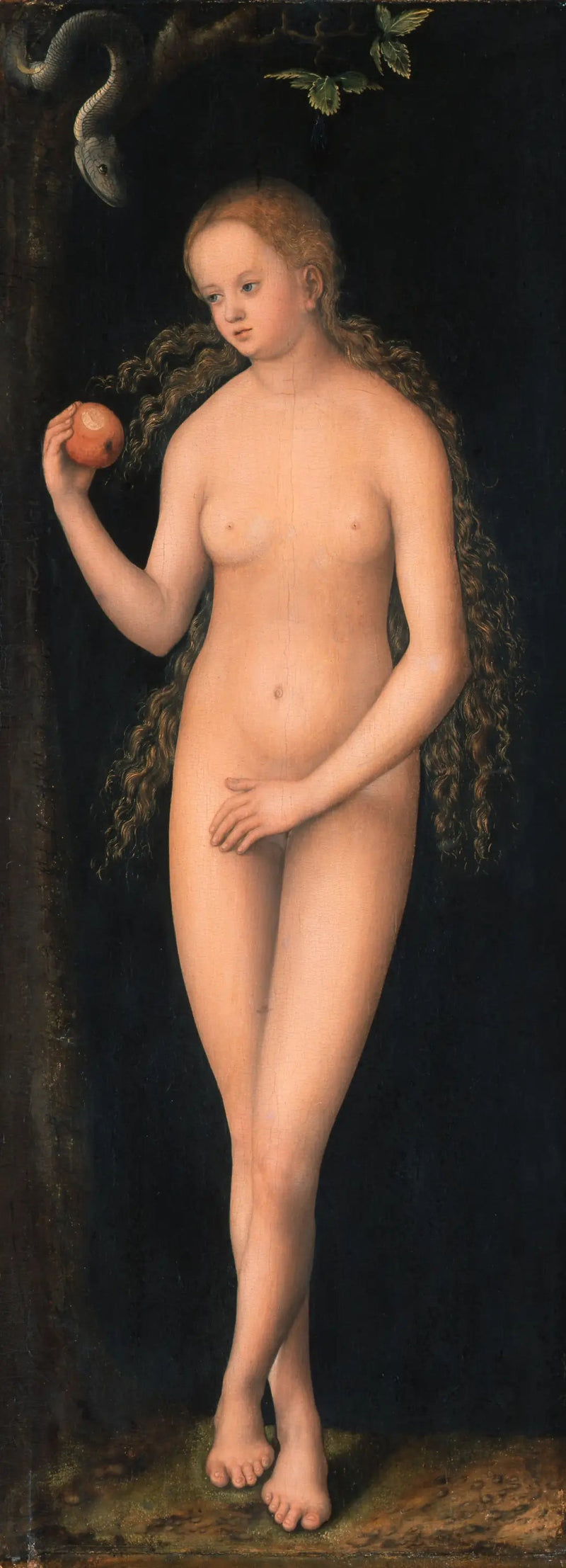 Veille - Lucas Cranach de Oudere