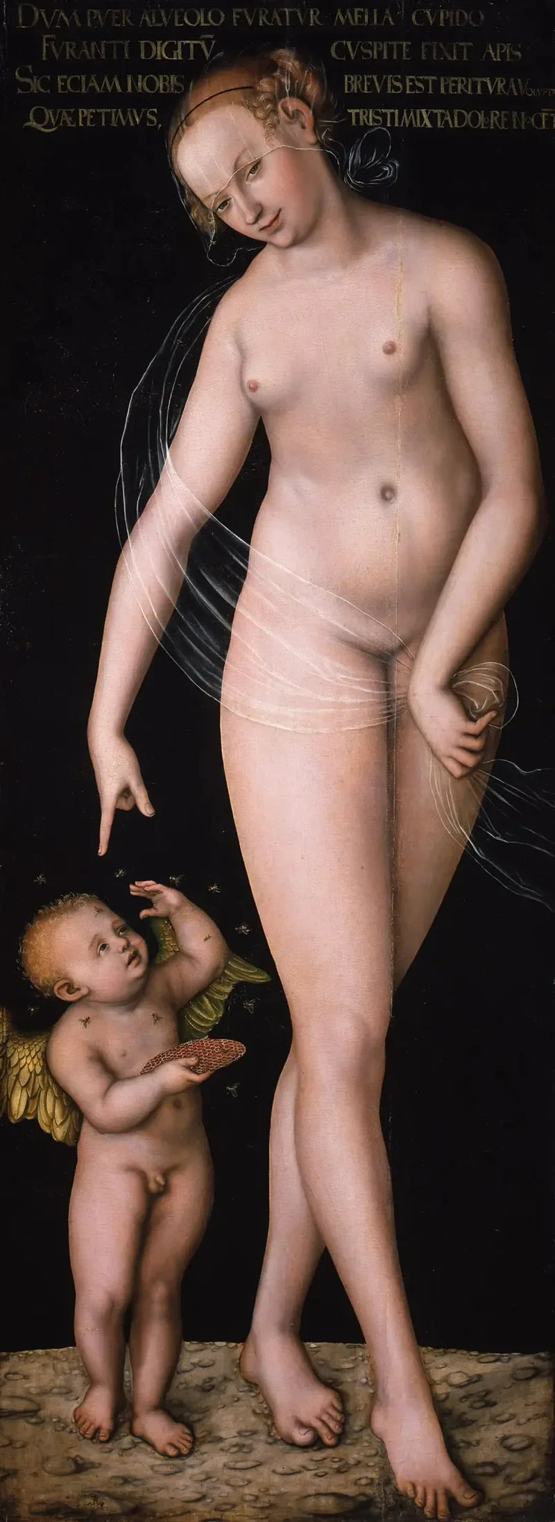 Venus met Cupido, de honingdief - Lucas Cranach de Oude