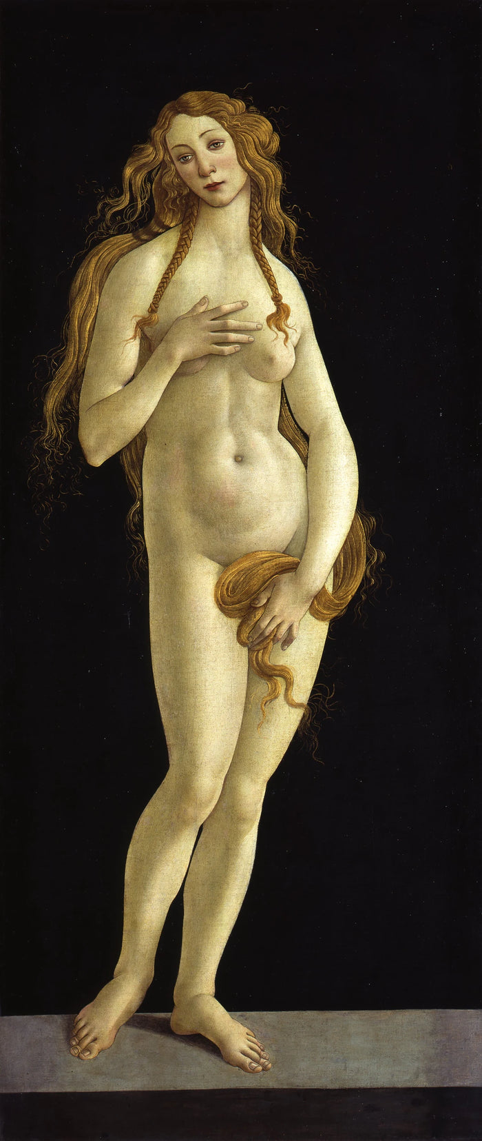 Bescheiden Venus, circa 1490 - toegeschreven aan Sandro Botticelli
