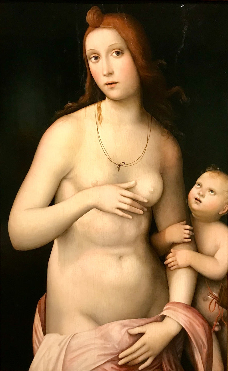 Venus en Cupido - Francesco Francia