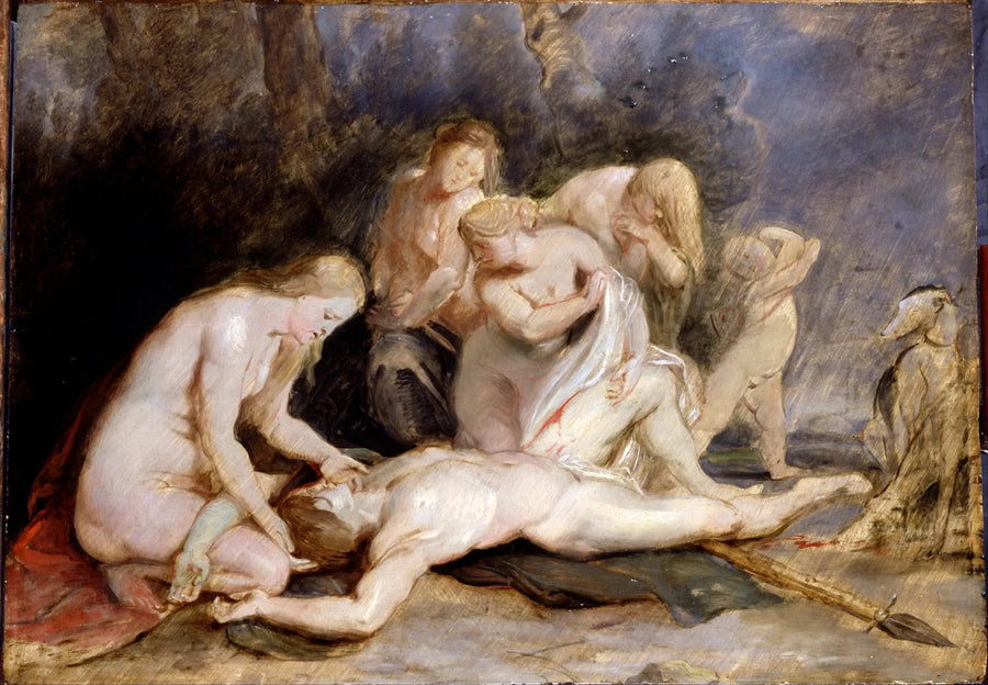 Venus die Adonis huilt - Peter Paul Rubens