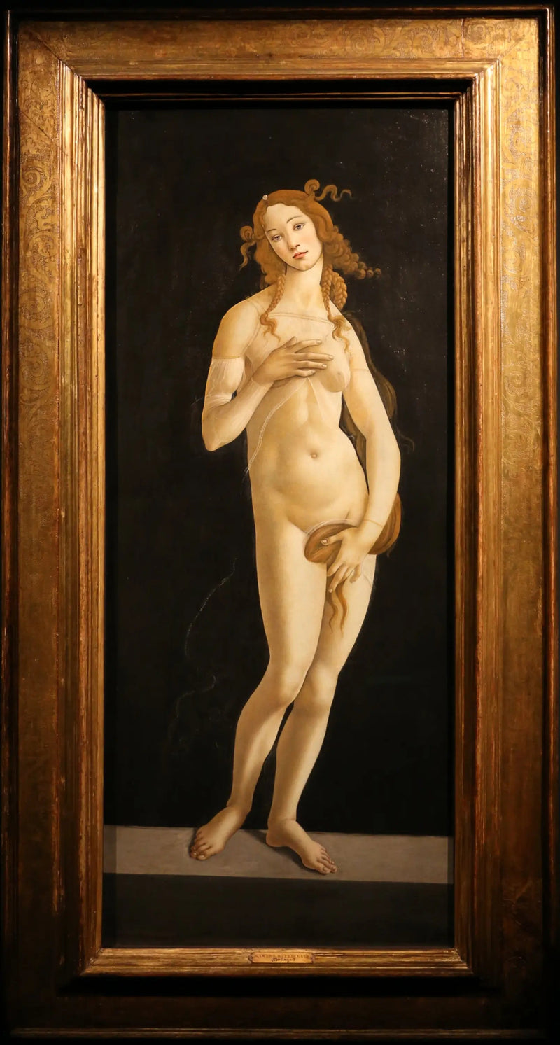 Noodlottige Venus - Sandro Botticelli
