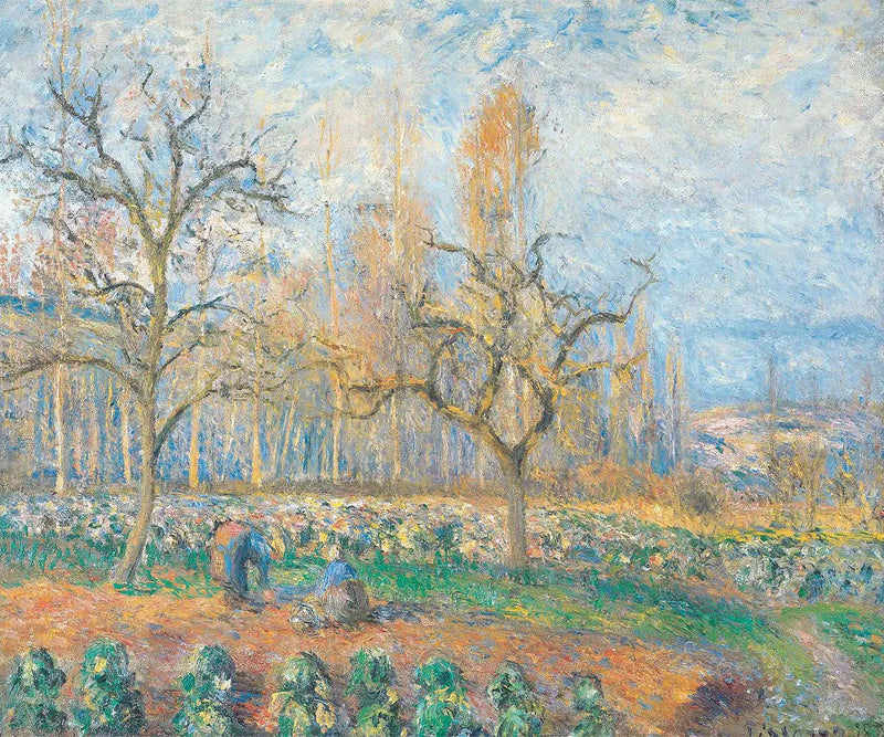 Boomgaard in Pontoise, ondergang van de zon - Camille Pissarro