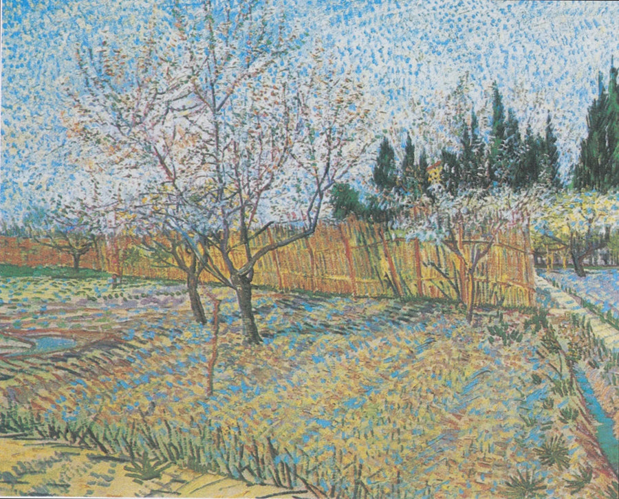 Boomgaard met cipressen - Vincent van Gogh