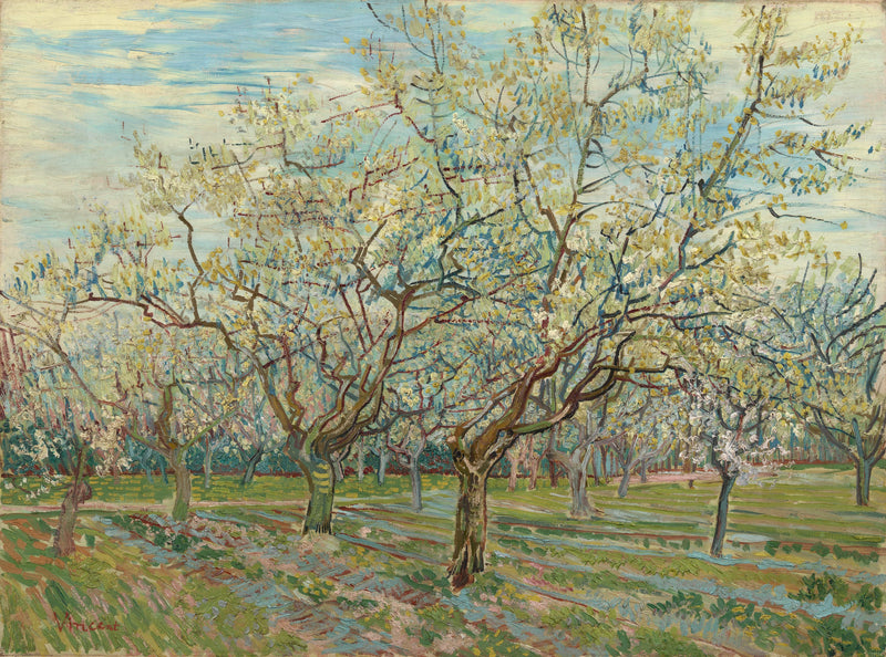 De witte boomgaard - Vincent van Gogh