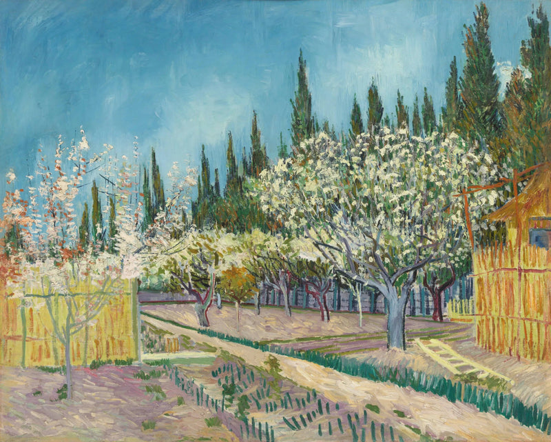 Bloeiende boomgaard, omzoomd door cipressen - Vincent van Gogh