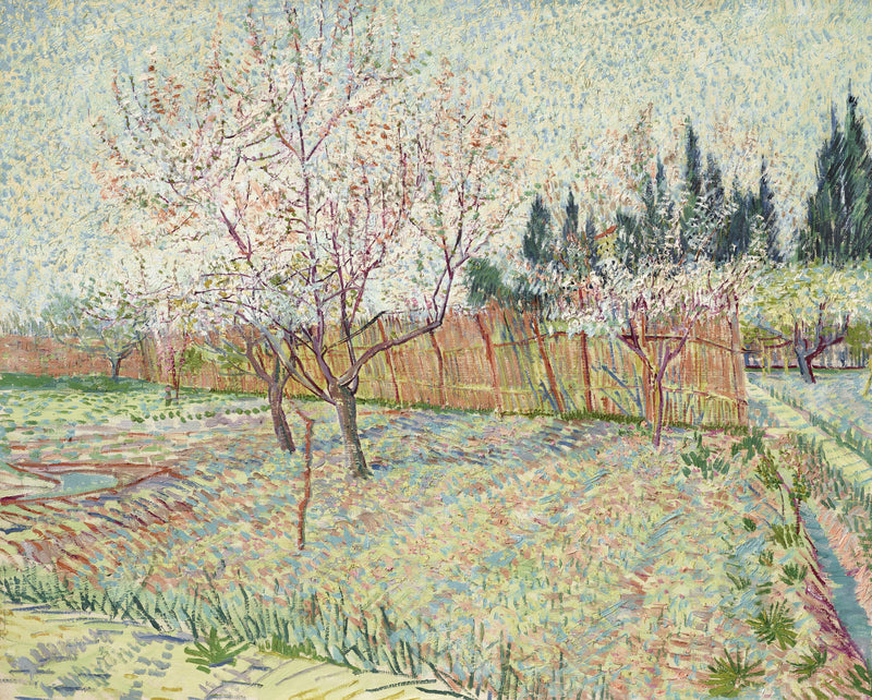 Boomgaard met cipressen - Vincent van Gogh