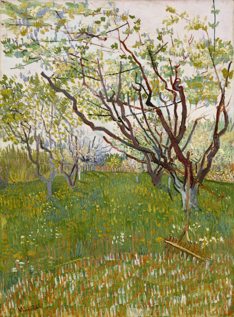 Bloeiende boomgaard - Vincent van Gogh