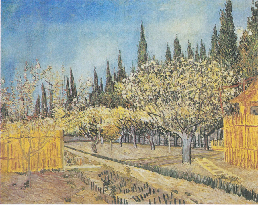 Bloeiende boomgaard, omzoomd door cipressen - Vincent van Gogh