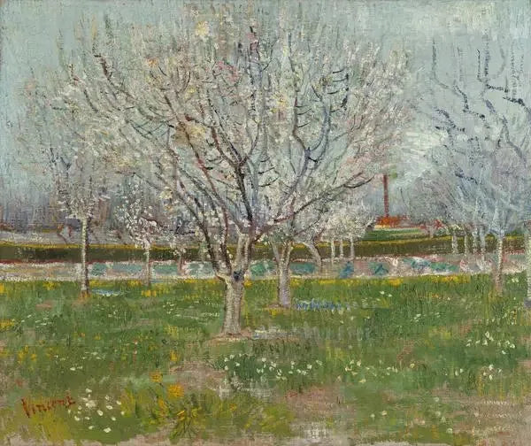 Bloeiende boomgaard - Vincent van Gogh