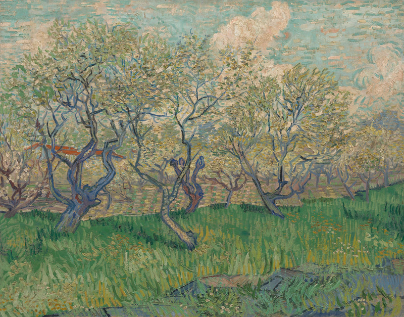 Bloeiende boomgaard - Vincent van Gogh