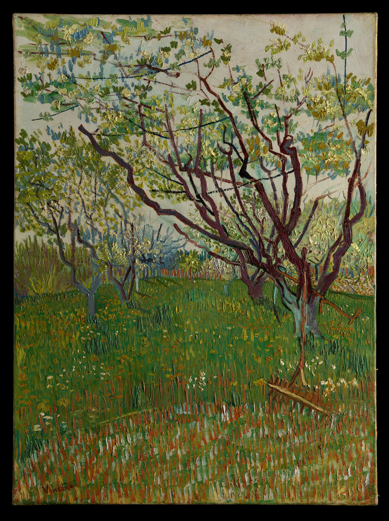 Bloeiende boomgaard - Vincent van Gogh