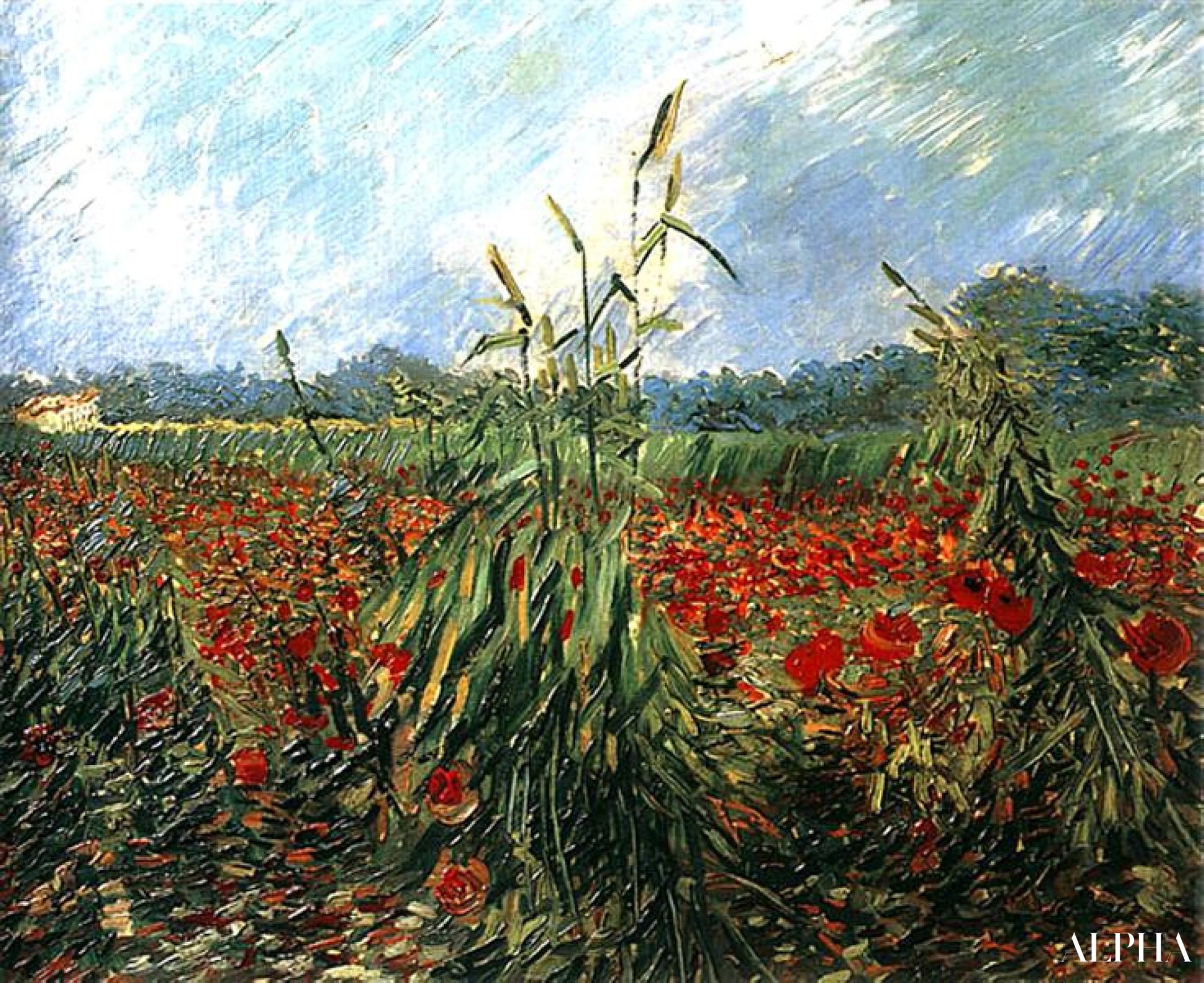Verts épis de blé - Van Gogh - Reproductions de tableaux et peintures haut de gamme