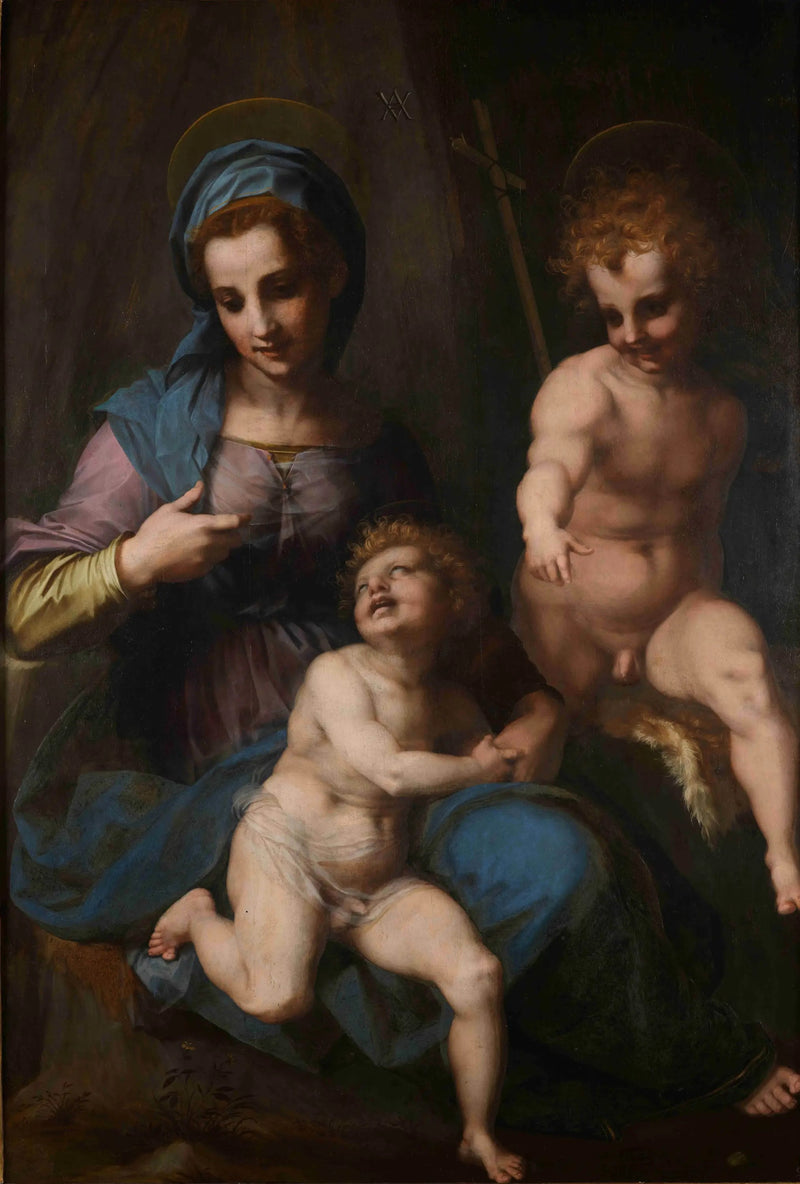Maagd met Kind met Sint-Jan de Doper als kind - Andrea del Sarto