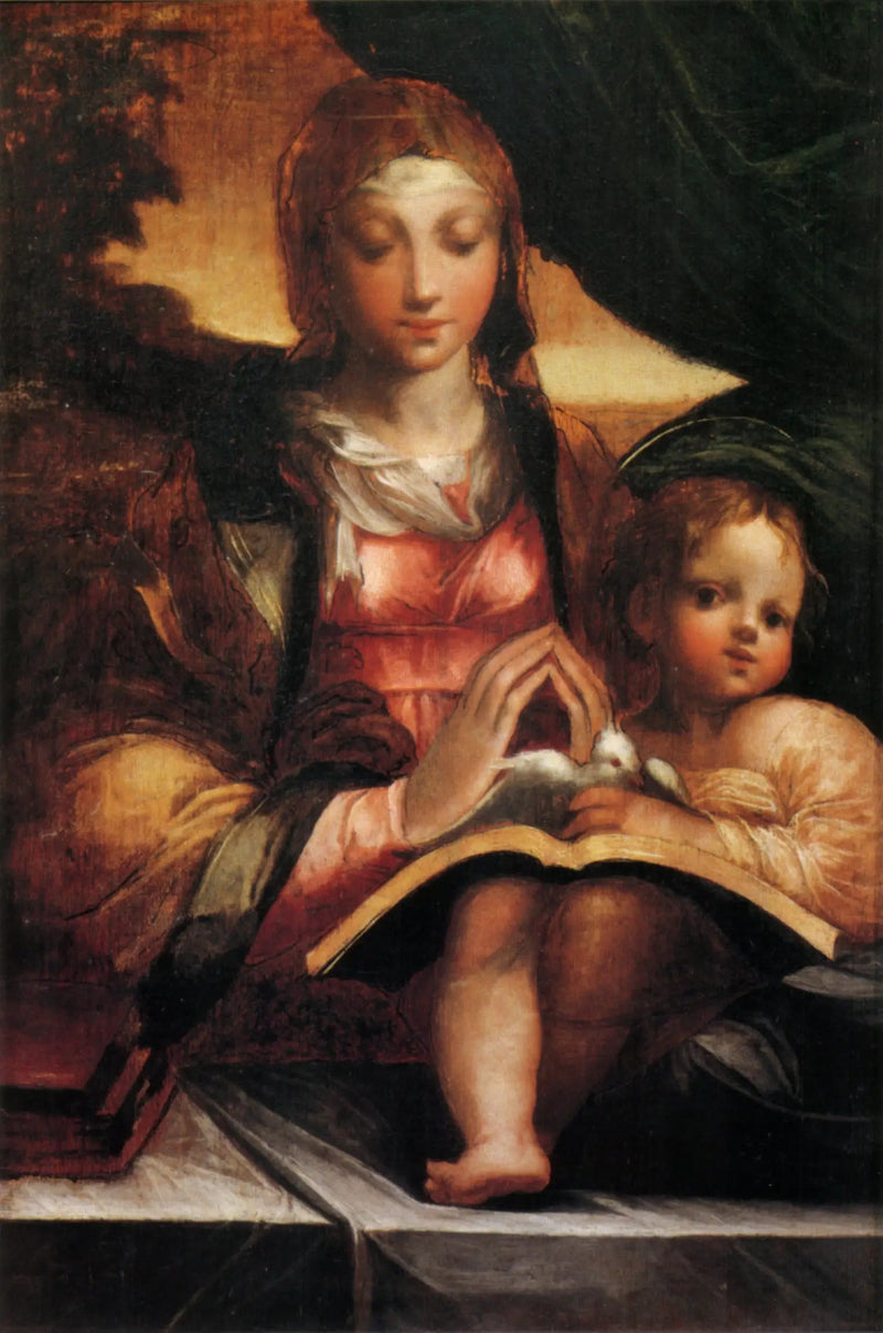 Maagd met Kind - Parmigianino