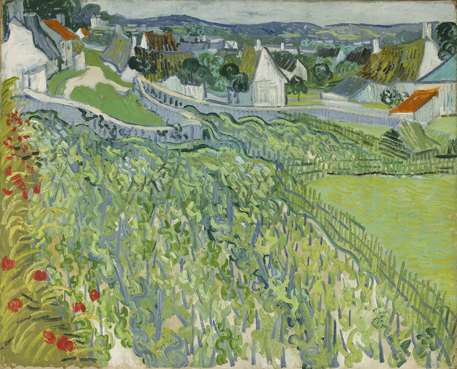 Wijngaarden van Auvers - Vincent van Gogh