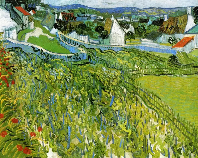 Wijngaarden van Auvers - Vincent van Gogh