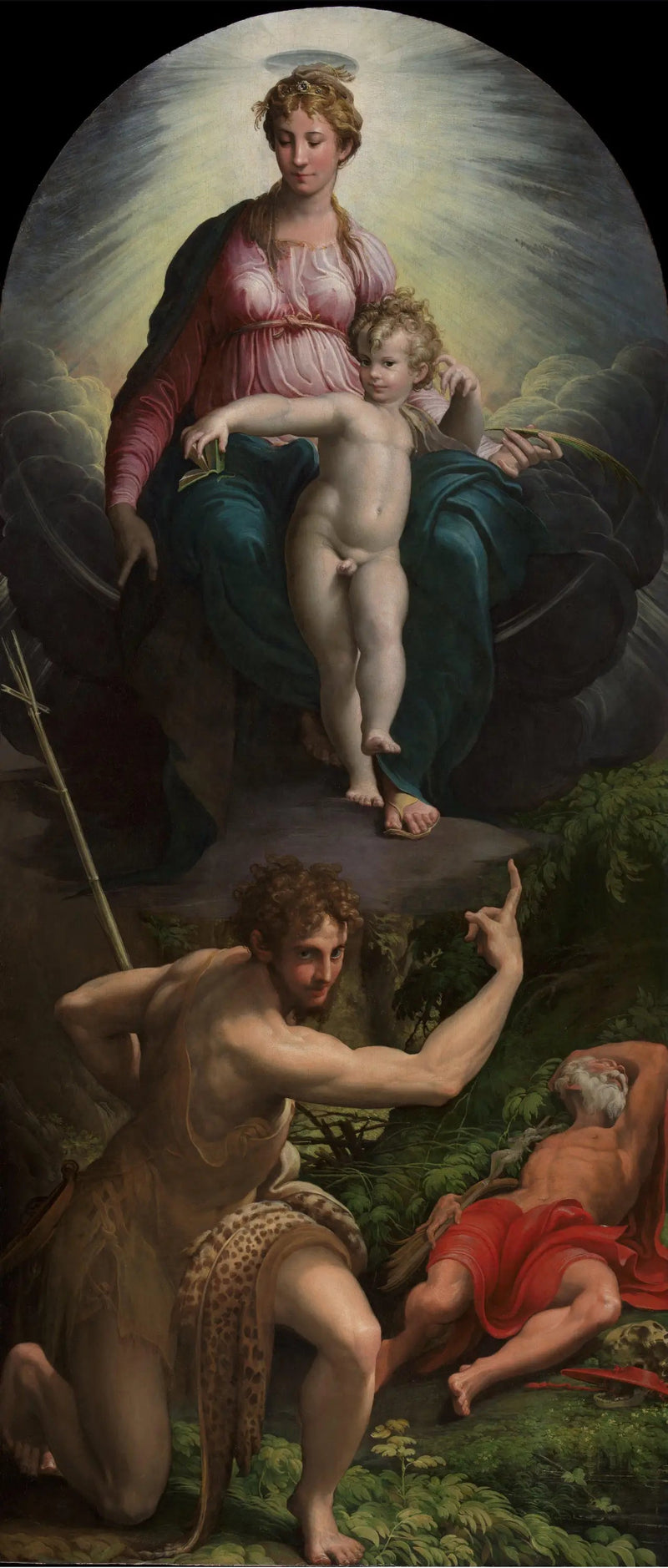 Visie van Sint-Jerome - Parmigianino