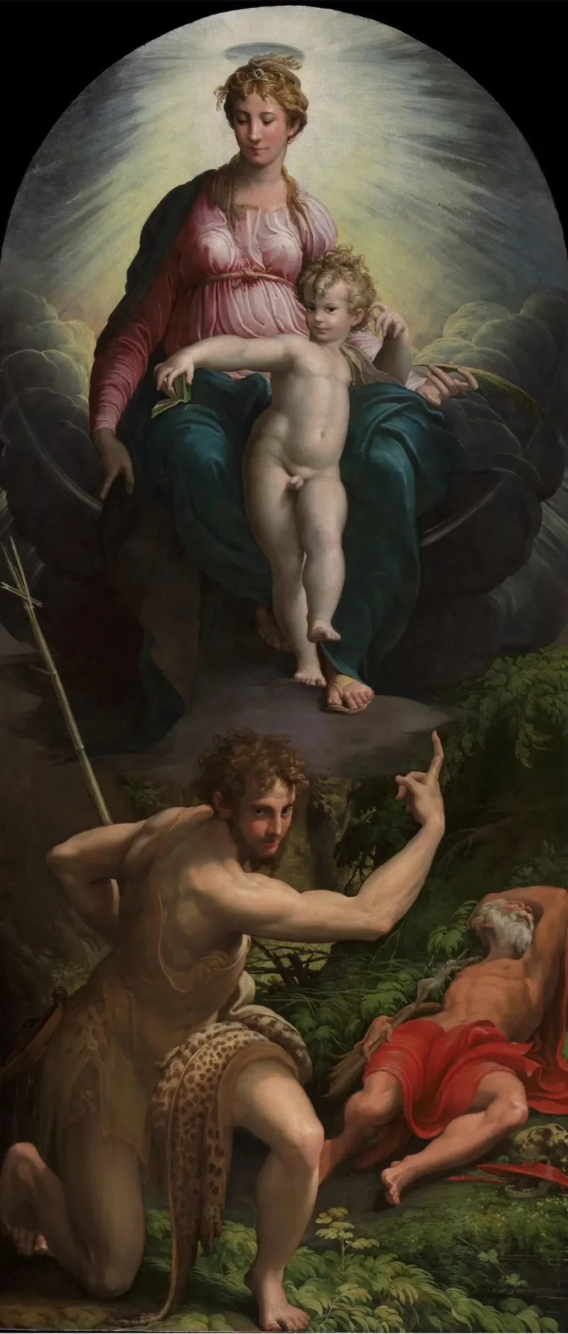 Visie van Sint-Jerome - Parmigianino