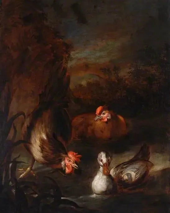 Vogels - Melchior de Hondecoeter