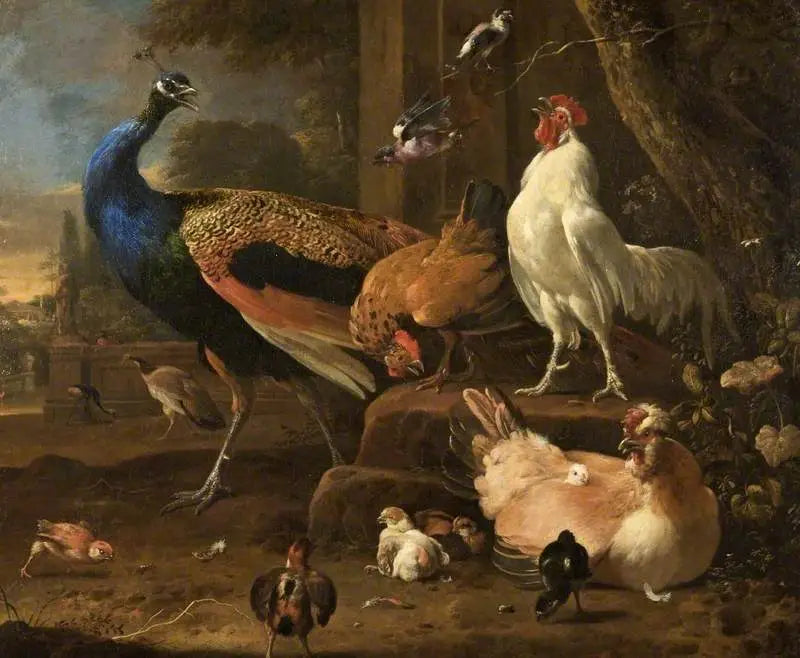 Vogels - Melchior de Hondecoeter
