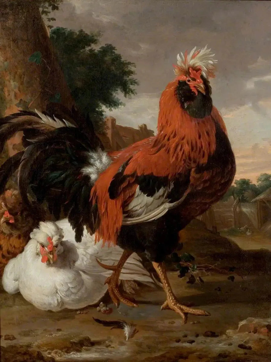 Vogels - Melchior de Hondecoeter