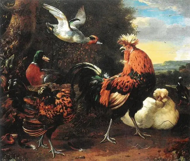 Vogels - Melchior de Hondecoeter