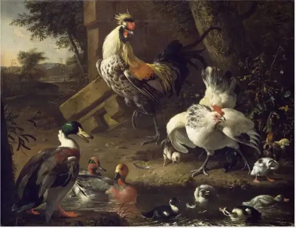 Vogels - Melchior de Hondecoeter