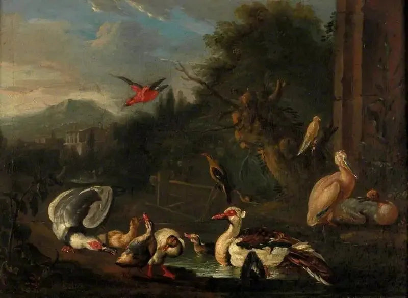 Vogels - Melchior de Hondecoeter