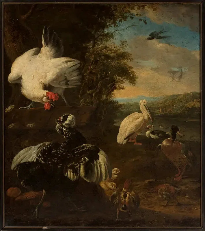 huiselijke gevogelte - Melchior de Hondecoeter