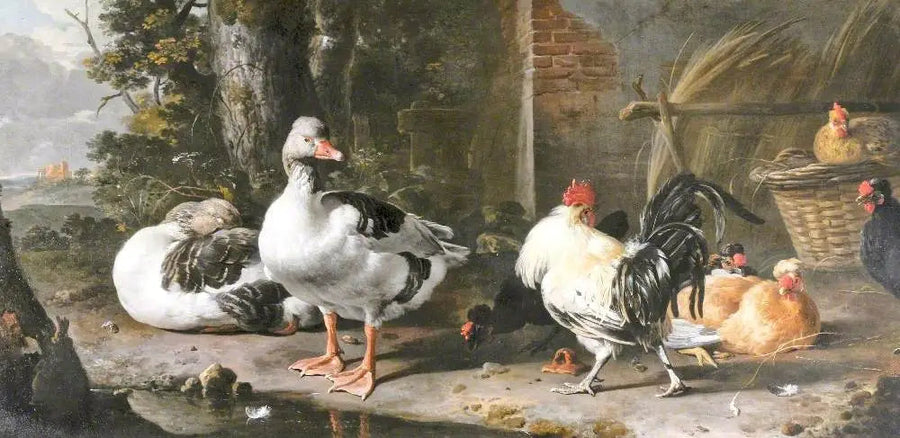 Vogels en ganzen - Melchior de Hondecoeter