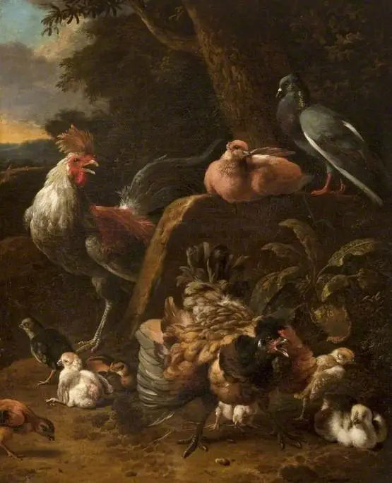 Vogels en duiven - Melchior de Hondecoeter