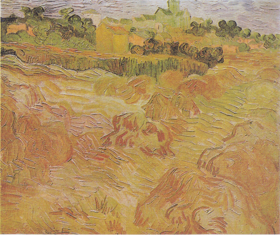 Tarwevelden met Auvers op de achtergrond - Vincent van Gogh
