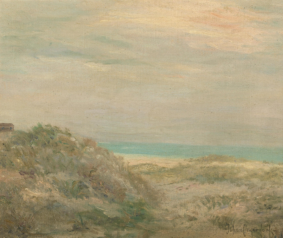 Kustzicht - Julian Onderdonk