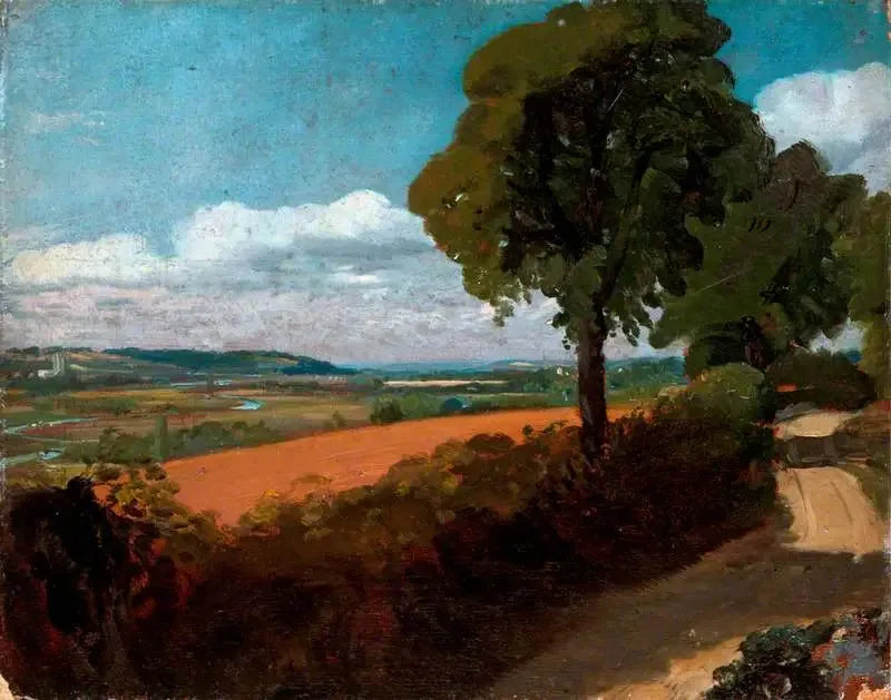 Uitzicht op Dedham vanaf de weg van de kerk van East Bergholt naar Flatford - John Constable