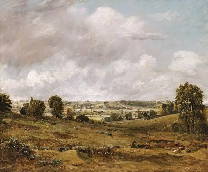 Uitzicht op Dedham Vale vanaf East Bergholt - John Constable