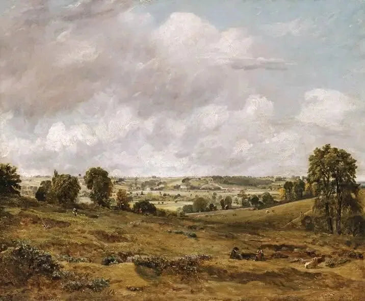 Uitzicht op Dedham Vale vanaf East Bergholt - John Constable