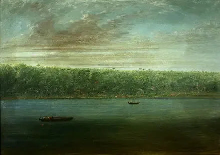 Uitzicht op de oever van de Amazone - Schets van een boot - George Catlin

Source:
Vue de la rive de l'Amazone - Croquis de bateau - George Catlin