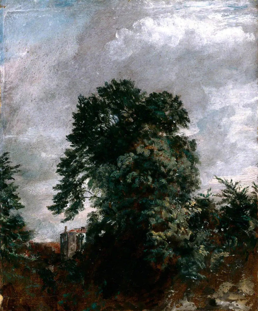 Verafgelegen uitzicht op het bosje, Hampstead - John Constable