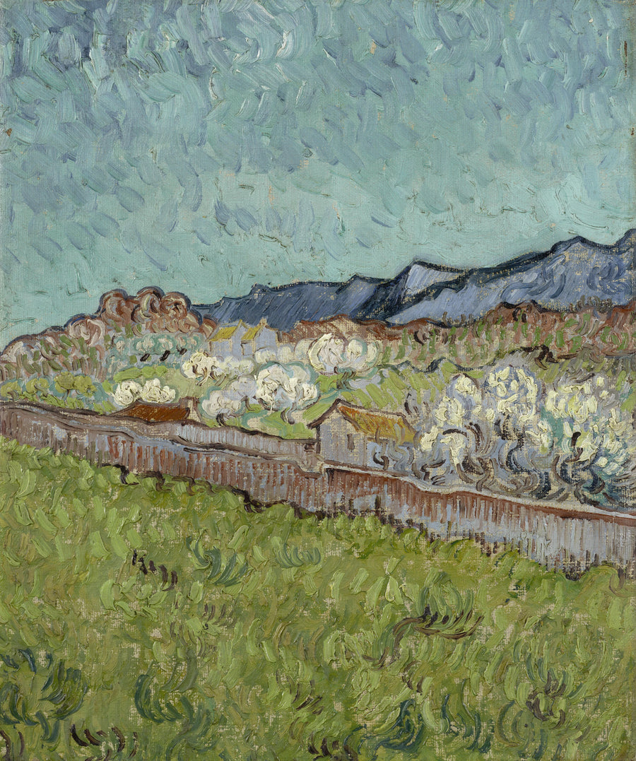 Uitzicht op de Alpilles - Vincent van Gogh