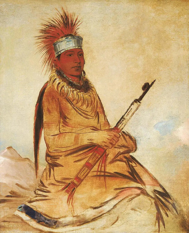 W'y-ee-yogh, man met gezond verstand, een goede - George Catlin

Source:
W'y-ee-yogh, homme de bon sens, un brave - George Catlin