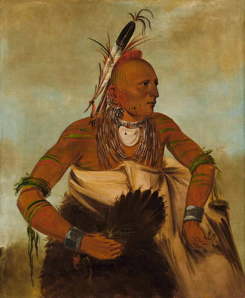 Wa-ho-béck-ee, een mooi dapperheid - George Catlin

Source:
Wa-ho-béck-ee, un beau courageux - George Catlin