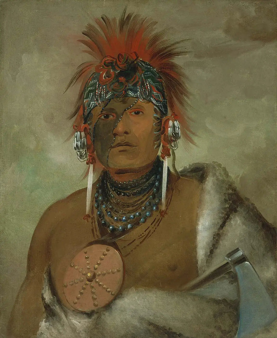Wá-hón-ga-shee, Geen dwaas, een grote idioot - George Catlin

Source:
Wá-hón-ga-shee, No Fool, un grand idiot - George Catlin