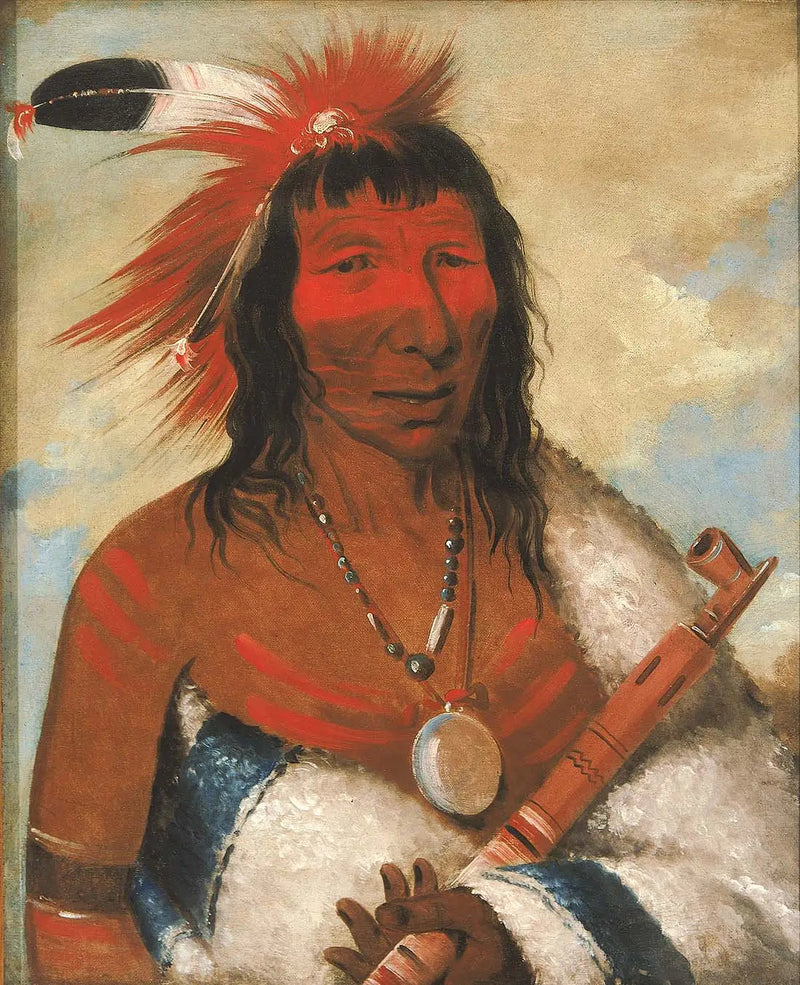 Wá-nah-de-túnk-ah, Grote Adelaar (of Zwarte Hond), Leider van de bende O-hah-kas-ka-toh-y-an-te - George Catlin

Source:
Wá-nah-de-túnk-ah, Grand Aigle (ou Chien Noir), Chef de la bande O-hah-kas-ka-toh-y-an-te - George Catlin