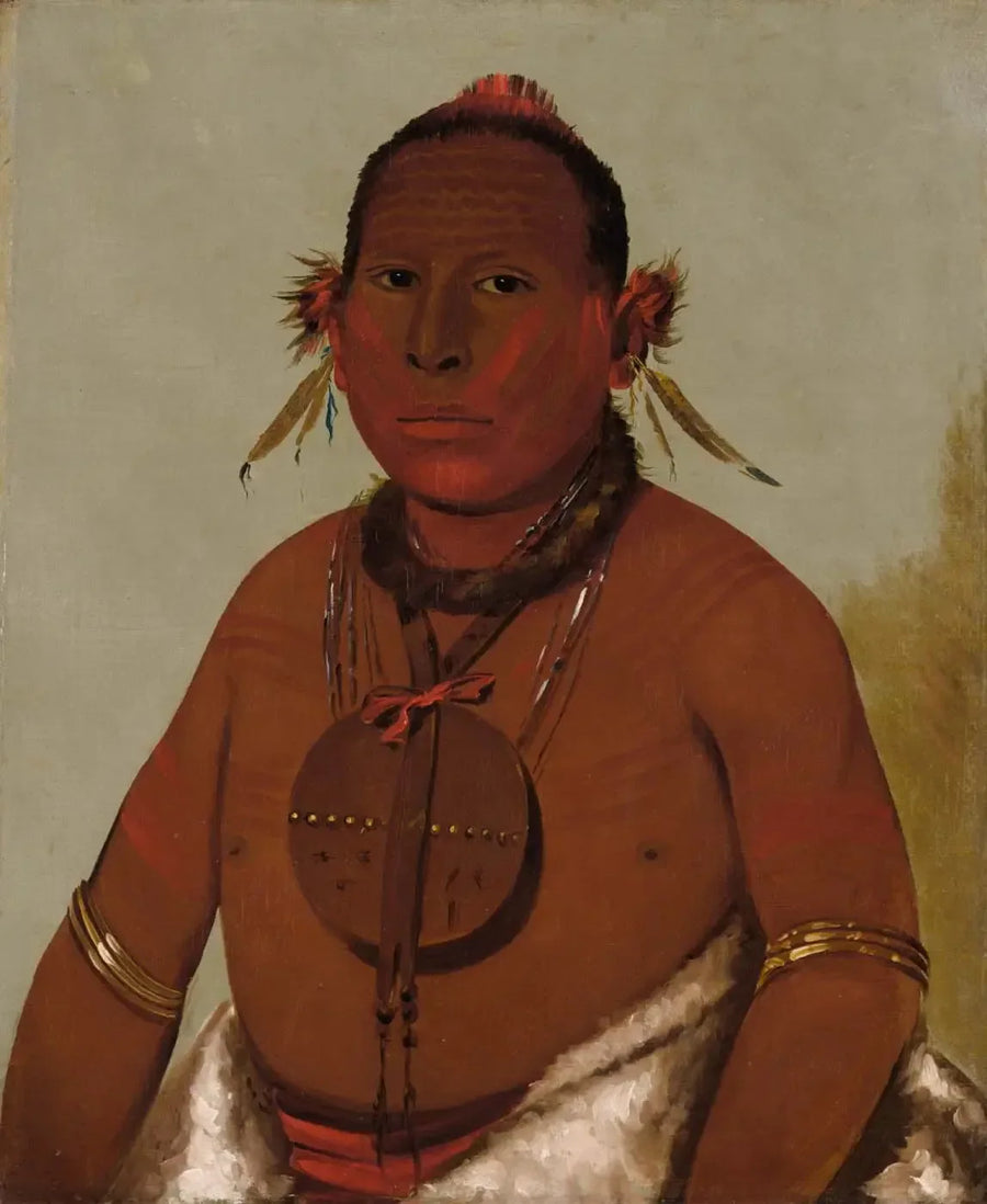 Wa-sáw-me-saw, brullende donder, de jongste zoon van de Zwarte Valk - George Catlin

Source:
Wa-sáw-me-saw, Tonnerre rugissant, le plus jeune fils du Faucon noir - George Catlin