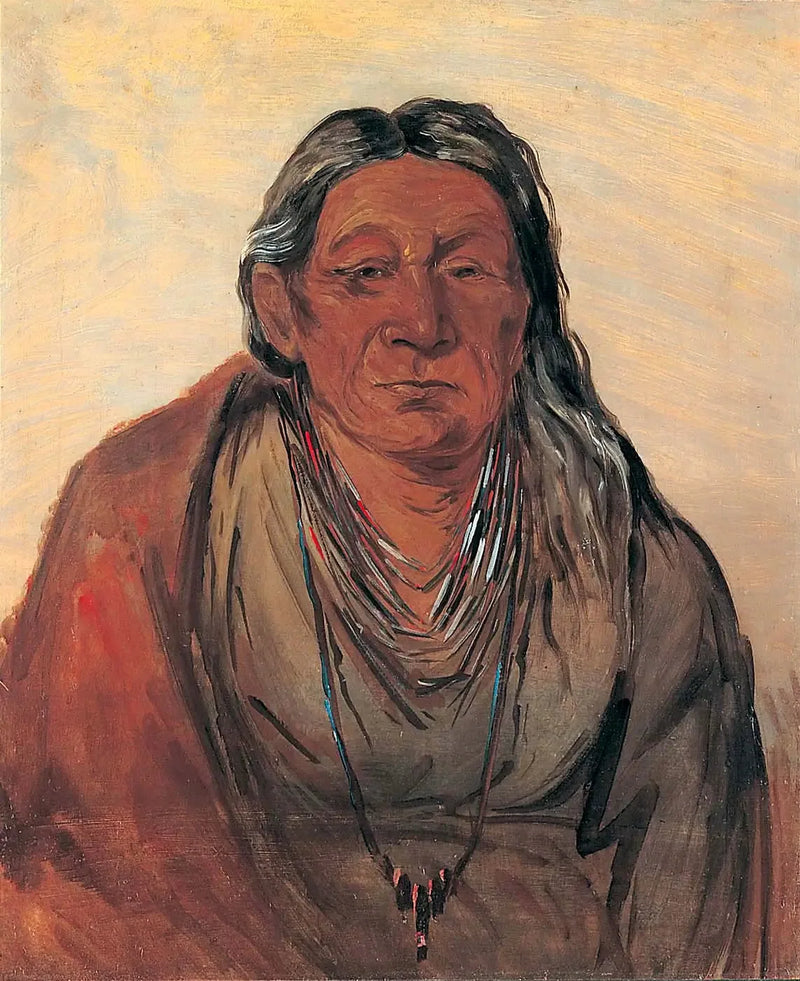 Wah-pe-séh-see, Moeder van de Chef - George Catlin

Source:
Wah-pe-séh-see, Mère du Chef - George Catlin